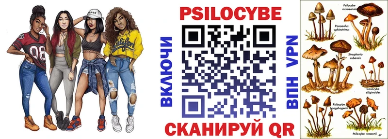 Купить где  Владимир  Галлюциногенные грибы MAGIC MUSHROOMS 